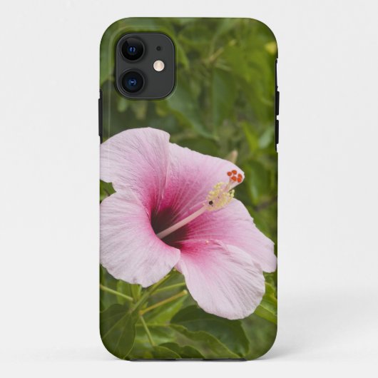 Cook Eilanden, Atiu. Hibiscus bloem. Case-Mate iPhone Case (Achterkant)
