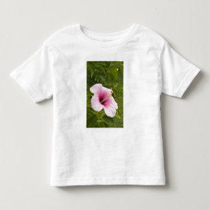 Cook Eilanden, Atiu. Hibiscus bloem. Kinder Shirts