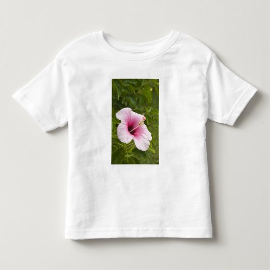 Cook Eilanden, Atiu. Hibiscus bloem. Kinder Shirts (Voorkant)