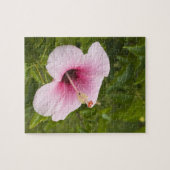 Cook Eilanden, Atiu. Hibiscus bloem. Legpuzzel (Horizontaal)