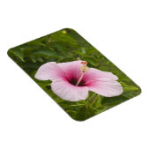 Cook Eilanden, Atiu. Hibiscus bloem. Magneet (Rechterzijde)