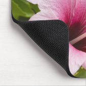 Cook Eilanden, Atiu. Hibiscus bloem. Muismat (Hoek)
