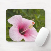 Cook Eilanden, Atiu. Hibiscus bloem. Muismat (Met muis)