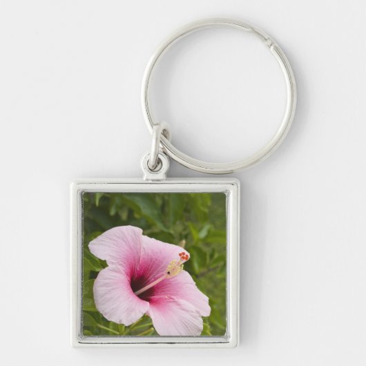 Cook Eilanden, Atiu. Hibiscus bloem. Sleutelhanger (Voorkant)
