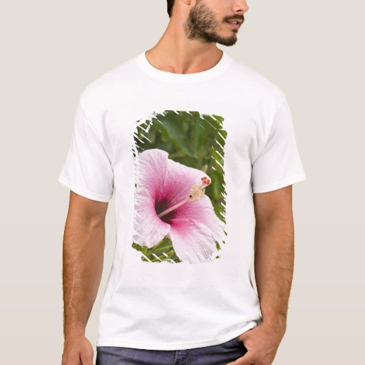 Cook Eilanden, Atiu. Hibiscus bloem. T-shirt (Voorkant)