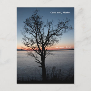 Cook Inlet met Denali en Mt. Foraker - Alaska Briefkaart