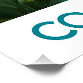 Cook Islands Poster (Hoek)