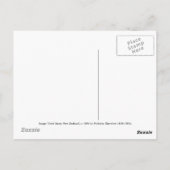 'Cook Strait, New Zealand' - Nicholas Chevalier Briefkaart (Achterkant)