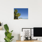 Cookeilanden, Aitutaki. Polynesiaanse kanologierei Poster (Thuiskantoor)