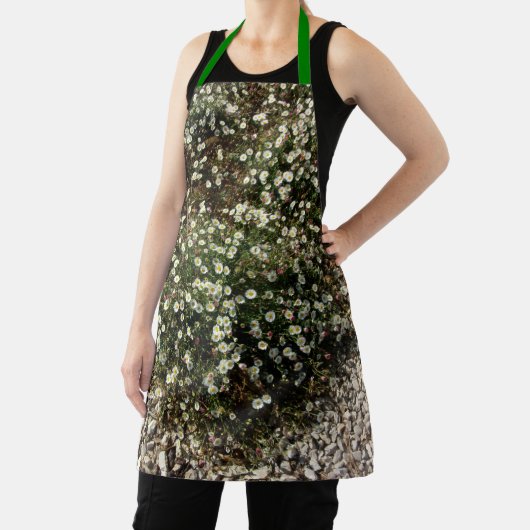 COOKERY SCHORT WILD FLOWER DESIGN (Insitu)