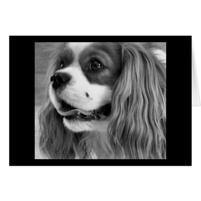 Cookie (Voorkant Horizontaal)