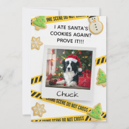 Cookie Crime Scene Funny Dog Christmas Card Bedankkaart