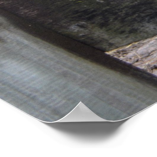 Cookie Koe die door het hek heen kijkt Poster (Hoek)