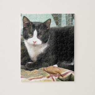 Cookie Legpuzzel