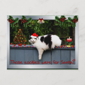 Cookie Loving Cat Briefkaart