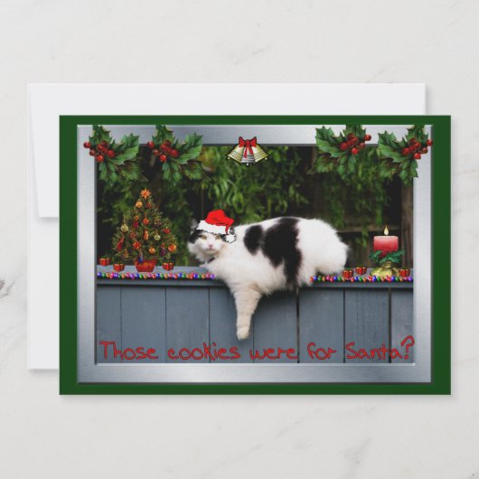 Cookie Loving Cat Kaart (Voorkant)