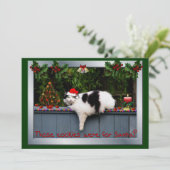 Cookie Loving Cat Kaart (Staand voorkant)