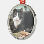Cookie Metalen Ornament (Links)
