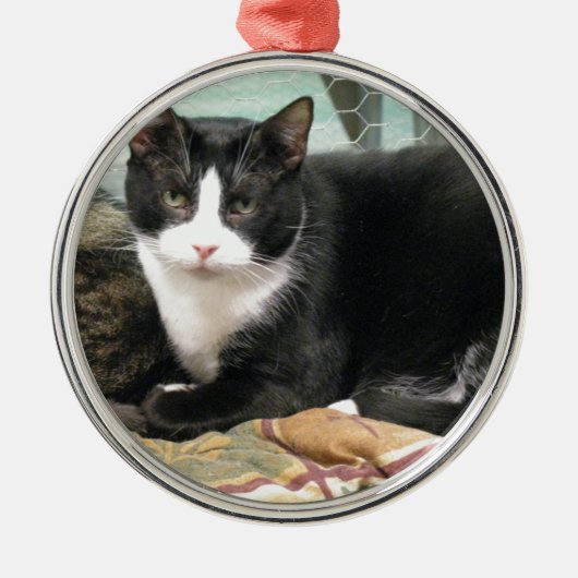 Cookie Metalen Ornament (Voorkant)