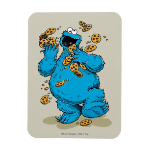 Cookie Monster Gekke Koekjes Magneet