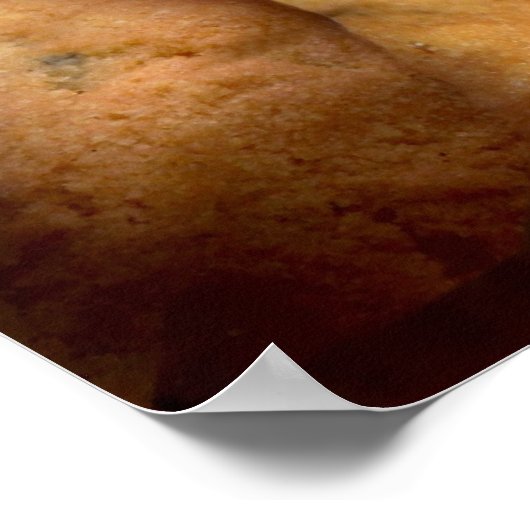 Cookie Monster Poster (Hoek)