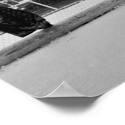 Cookie Poster (Hoek)