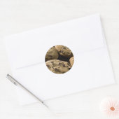 Cookie Stickers (Envelop)