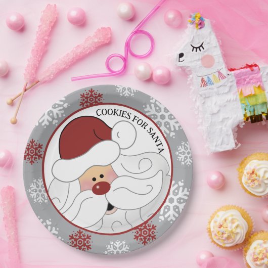 Cookies voor Sinterklaas Schattig ArtbyJess Papieren Bordje (Feest)