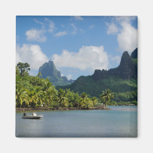 Cook's baai, Moorea magnet