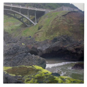 Cook's Chasm, Cape Perpetua, OF Tegeltje