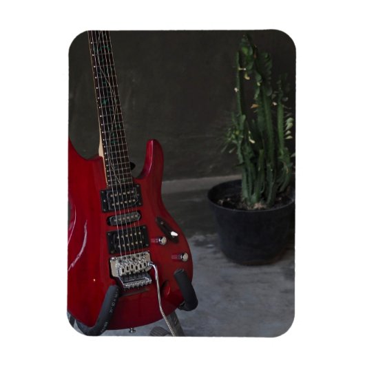 Cool Acoustic Guitar Magneet (Verticaal)
