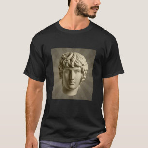 Cool Apollo Gips Standbeeld Illustratie Grafische  T-shirt