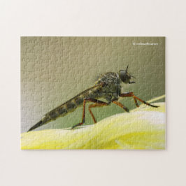 Cool Assassin Fly Bug Insect Legpuzzel