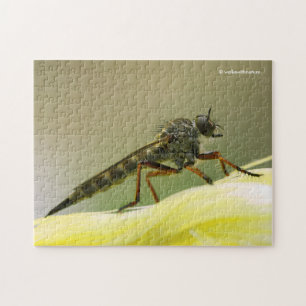 Cool Assassin Fly Bug Insect Legpuzzel