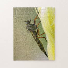 Cool Assassin Fly Bug Insect Legpuzzel