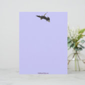 Cool Bald Eagle Wildlife Collectie Briefhoofd (Staand voorkant)