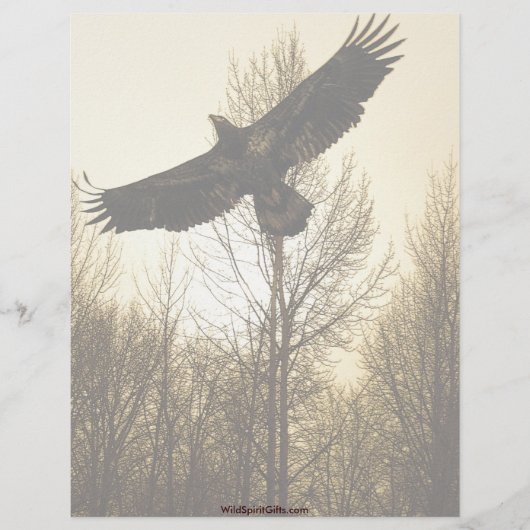 Cool Bald Eagle Wildlife Collectie Briefhoofd Ontwerp (Voorkant)