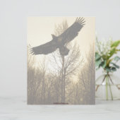 Cool Bald Eagle Wildlife Collectie Briefhoofd Ontwerp (Staand voorkant)
