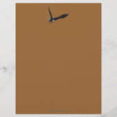 Cool Bald Eagle Wildlife Collectie Briefhoofd Ontwerp (Voorkant)