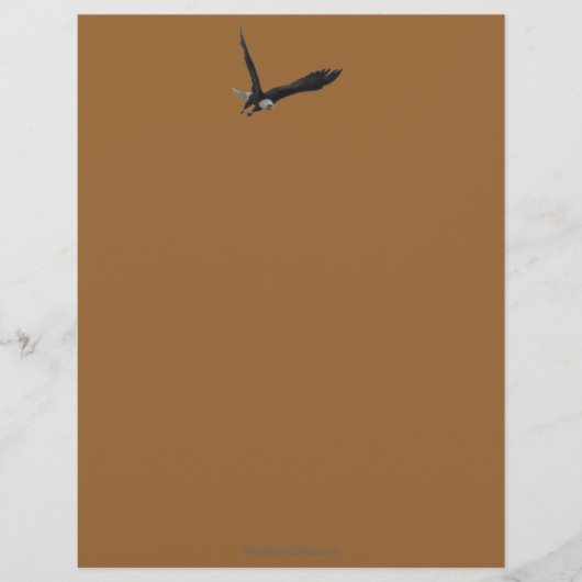 Cool Bald Eagle Wildlife Collectie Briefhoofd Ontwerp (Voorkant)