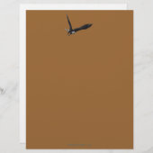 Cool Bald Eagle Wildlife Collectie Briefhoofd Ontwerp (Voorkant / Achterkant)