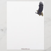 Cool Bald Eagle Wildlife Collectie Briefhoofd Sjabloon (Voorkant)