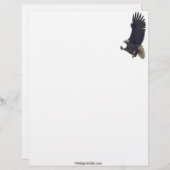 Cool Bald Eagle Wildlife Collectie Briefhoofd Sjabloon (Voorkant / Achterkant)