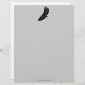 Cool Bald Eagle Wildlife Collectie Briefhoofd Sjabloon (Voorkant / Achterkant)