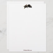 Cool Bald Eagle Wildlife Collectie Briefhoofd Sjabloon (Voorkant / Achterkant)