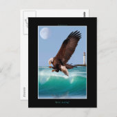 Cool Bald Eagle Wildlife Collectie Briefkaart (Voorkant / Achterkant)