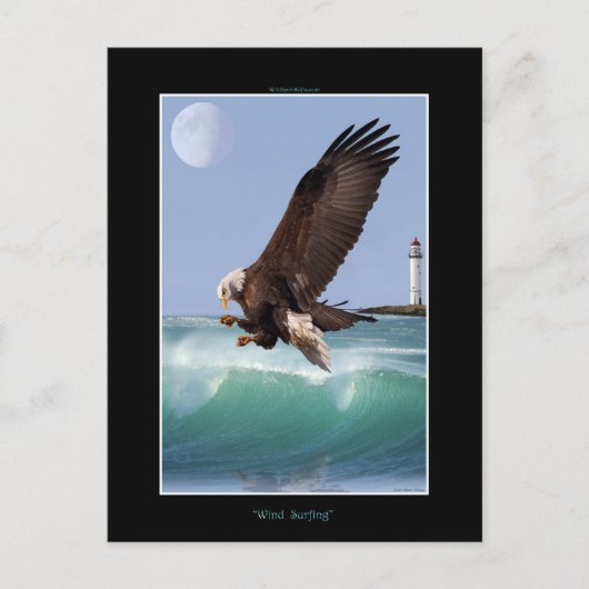 Cool Bald Eagle Wildlife Collectie Briefkaart (Voorkant)