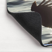 Cool Bald Eagle Wildlife Collectie Muismat (Hoek)