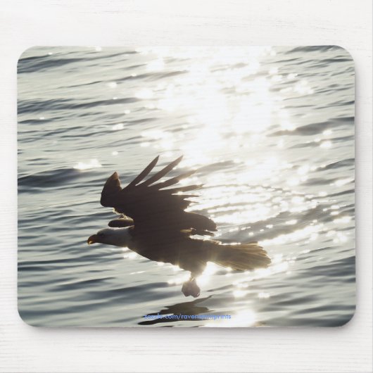 Cool Bald Eagle Wildlife Collectie Muismat (Voorkant)