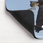 Cool Bald Eagle Wildlife Collectie Muismat (Hoek)